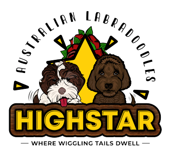 High Plains Labradoodle