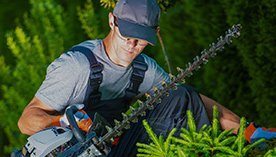 Big Easy Landscaping – Covington Landscaping & Outdoor  &hellip;