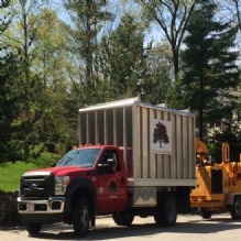Andover Arborists