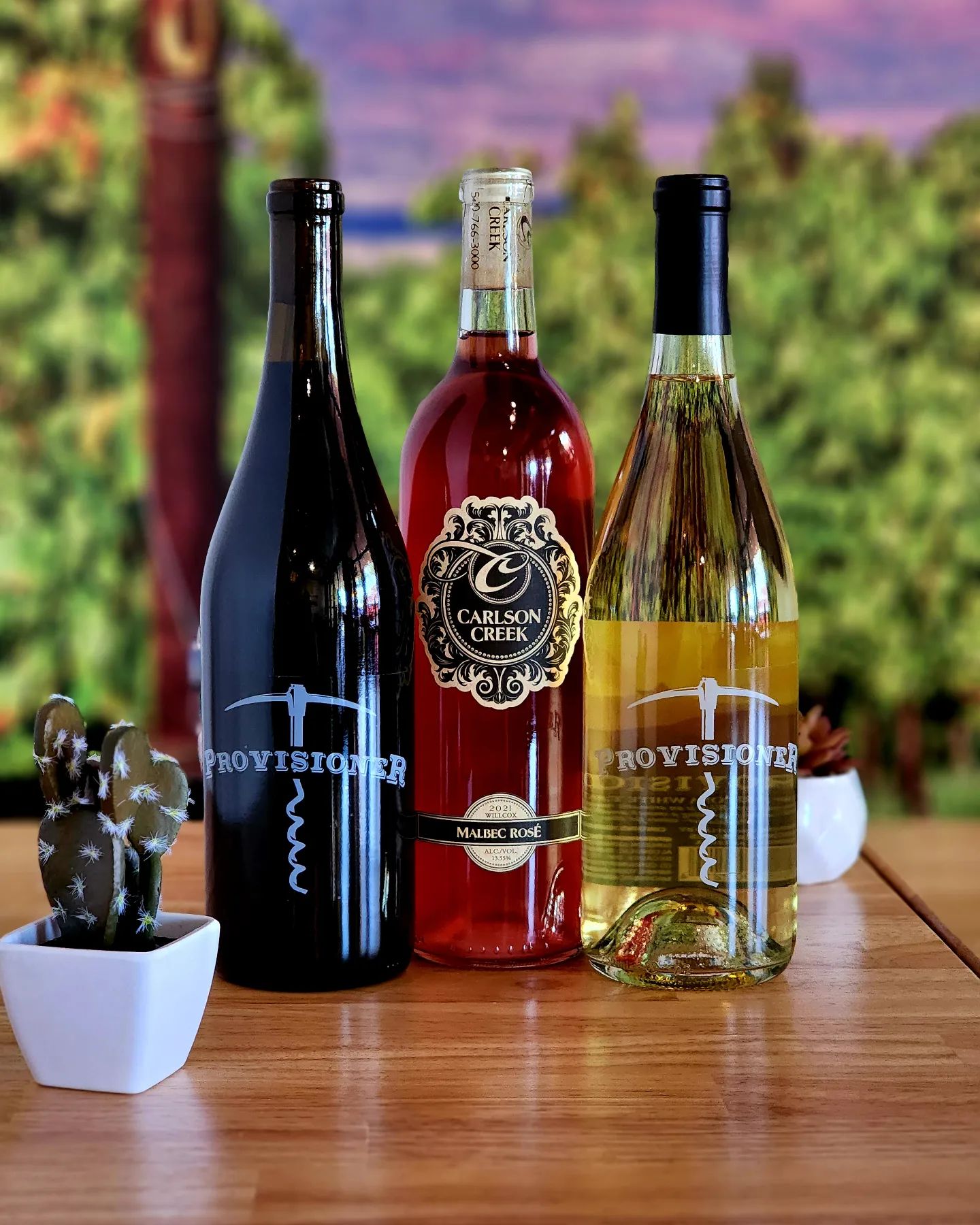 The Wine Collective Scottsdale