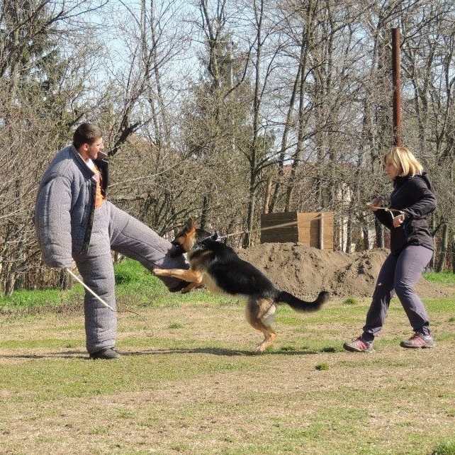 Mrazovac K9