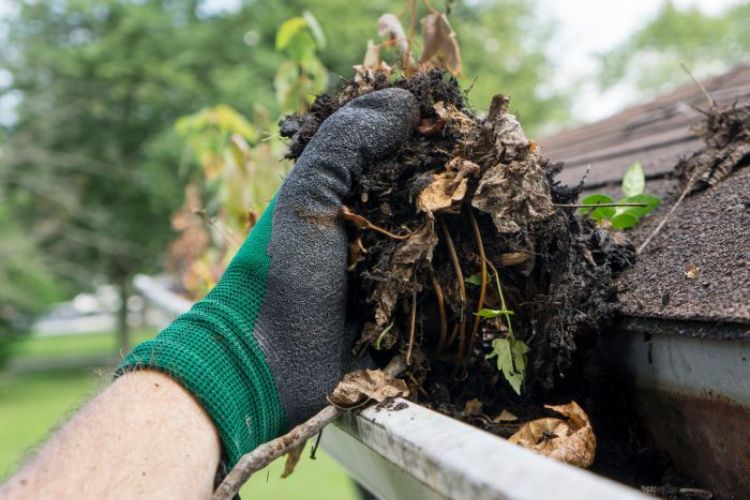 Aberdeen Gutter Cleaning