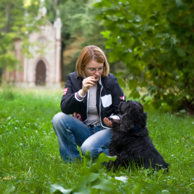 Southern Nevada Dog Training