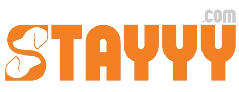 Chicago Dog Trainer – Stayyy.com