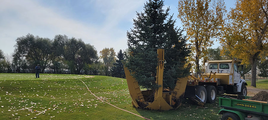 Legacy Trees