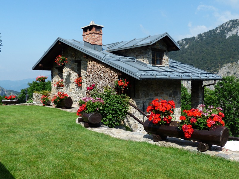 Backyard Flair