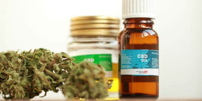 CBD Hemp Marijuana