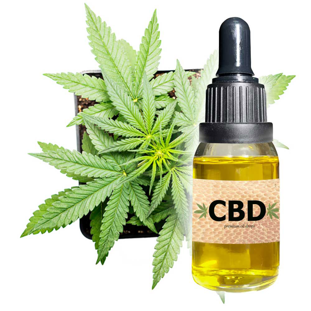 CBD Leafvector