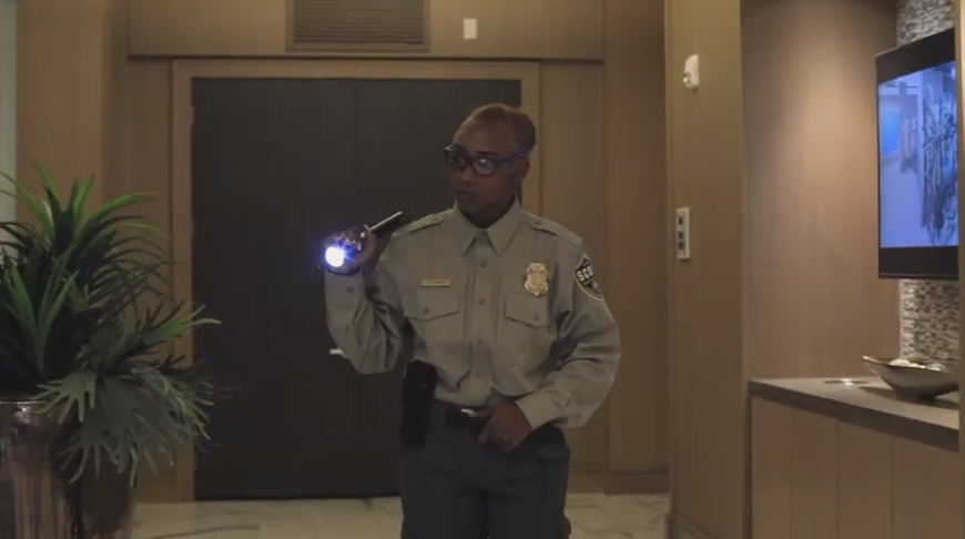 Scout Security