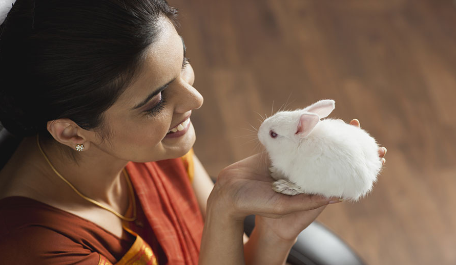 Pet Health | Daily ideal routine for your pet | Talkytails