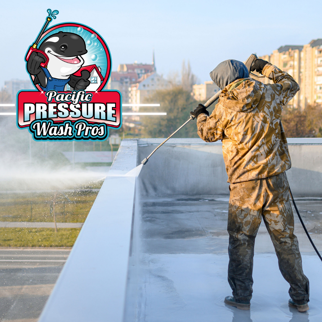 Cloverdale Pressure Wash Pros
