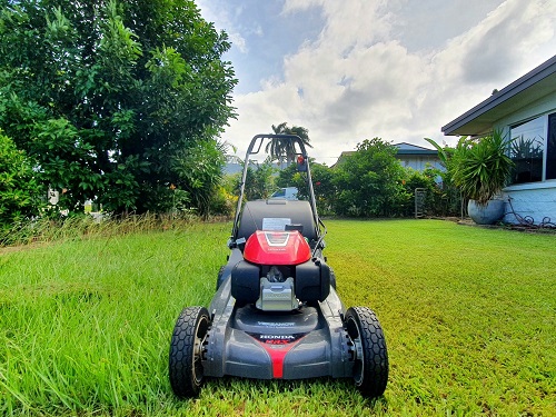 Fusion Landscaping
