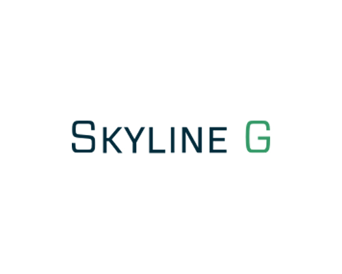 Skyline G – Executive Coaching & Leadership Development