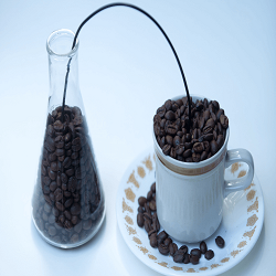 Best Cafes In Gold Coast