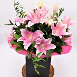 Anastasia Florists