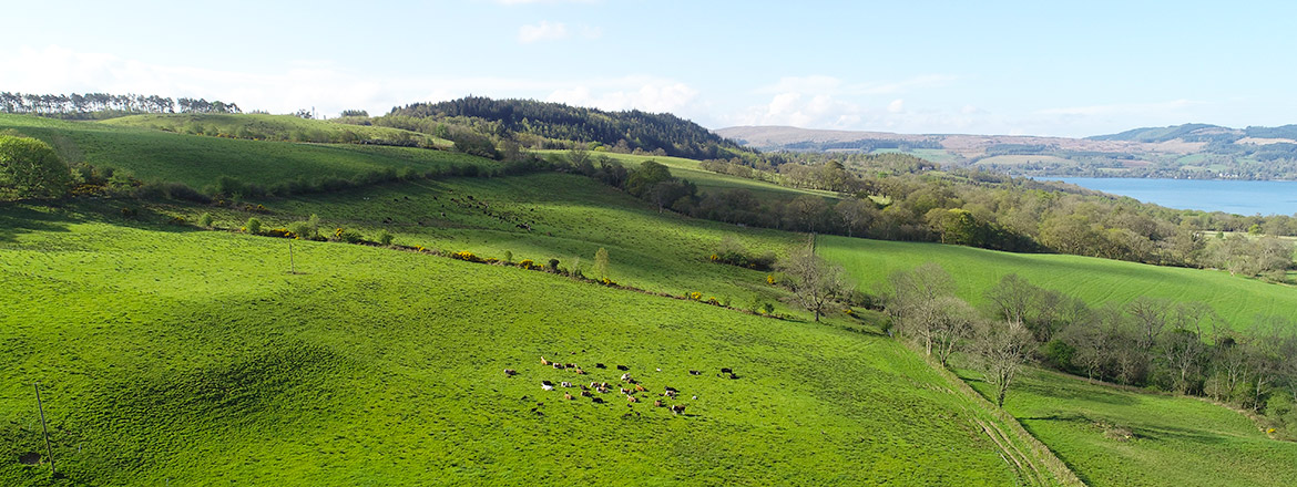 Castledine Environmental