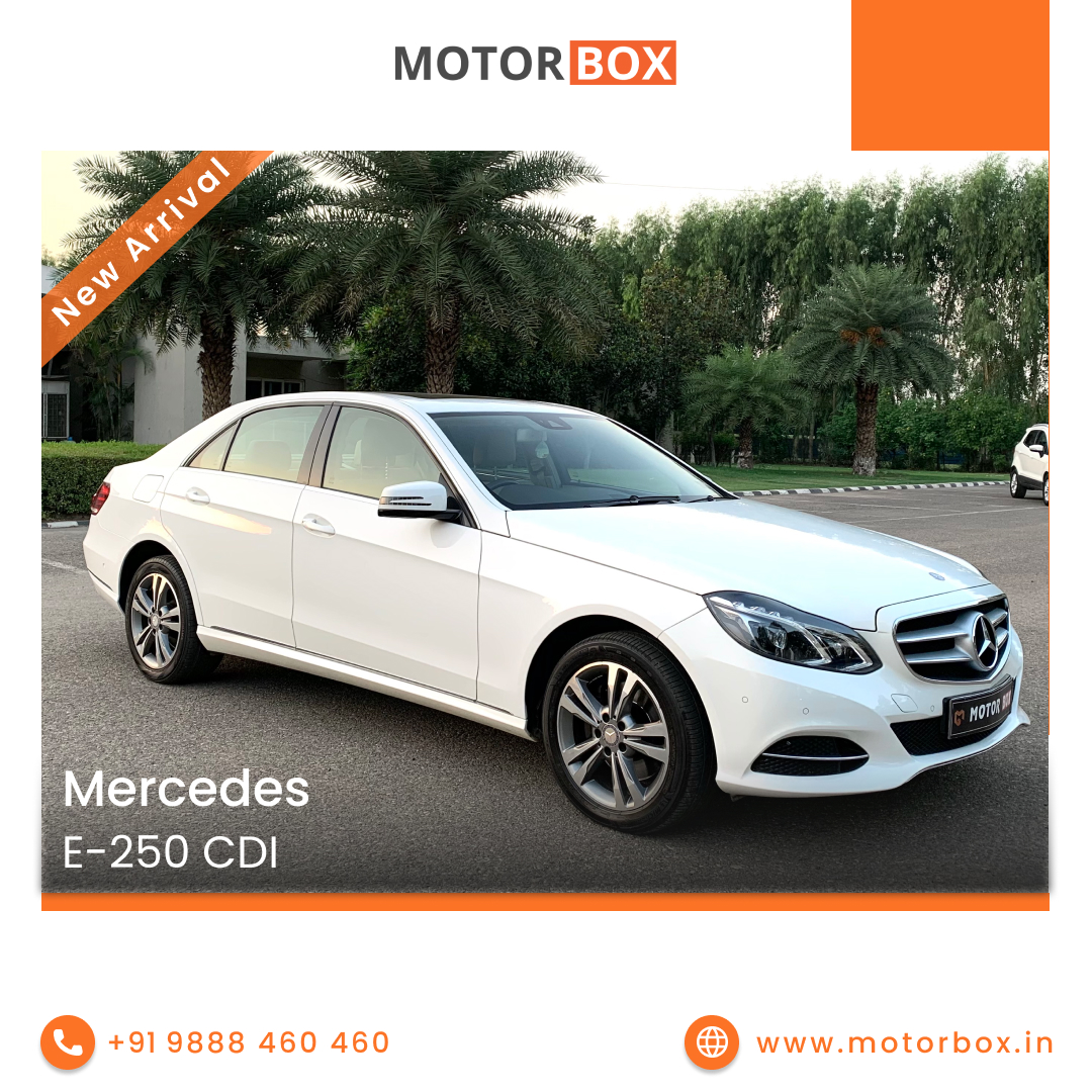 Best Luxury Car Dealer in Mohali | Motor Box