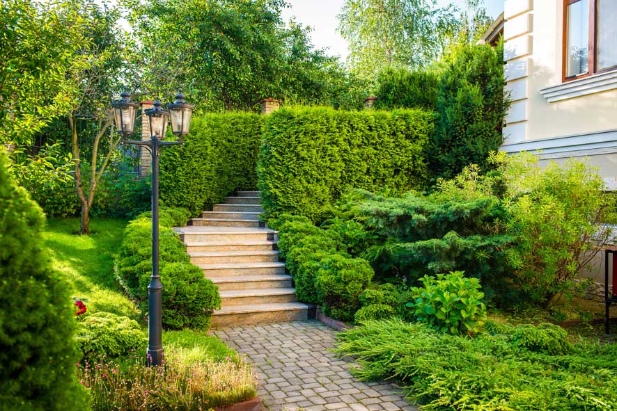 Pro Landscaping Geelong