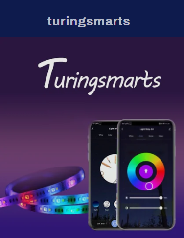 Shenzhen Turingsmarts Technology Co.LTD