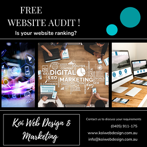 Koi Web Design & Marketing