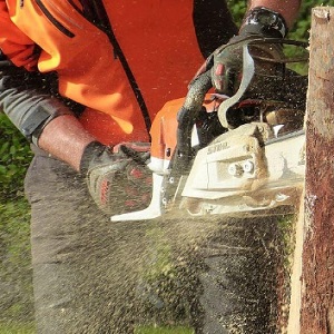 Ultimate Stumping Melbourne