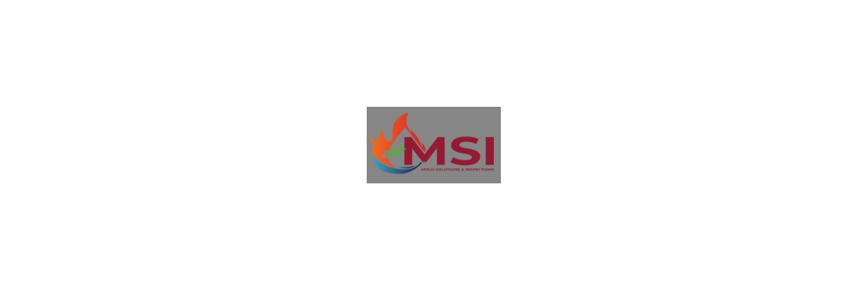 Mold Solutions & Inspections