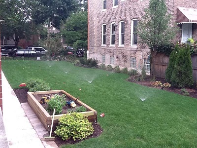 Lawn Landscape