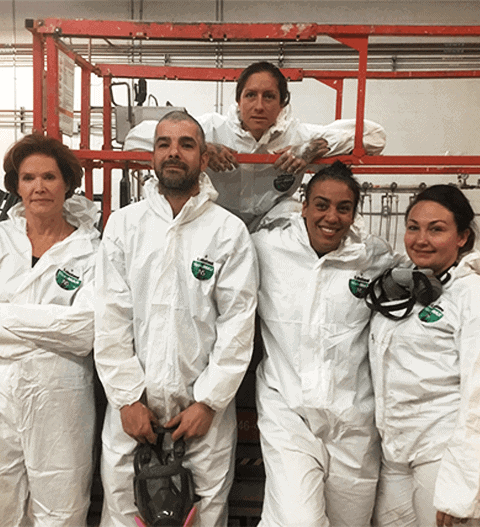 Absolute Mold Remediation Ltd.