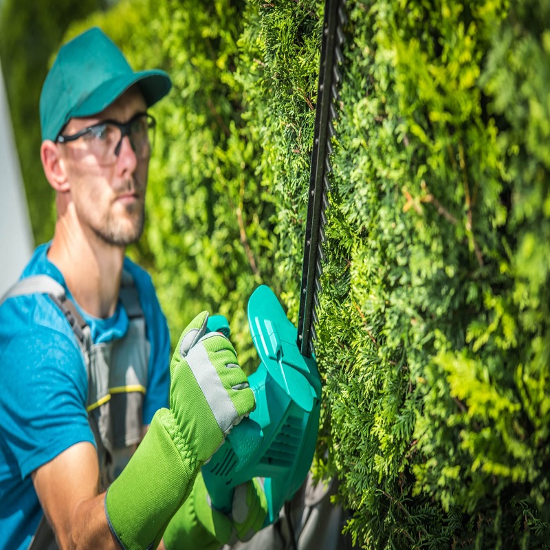 Tree Soldiers – Tree Trimming Service Buffalo