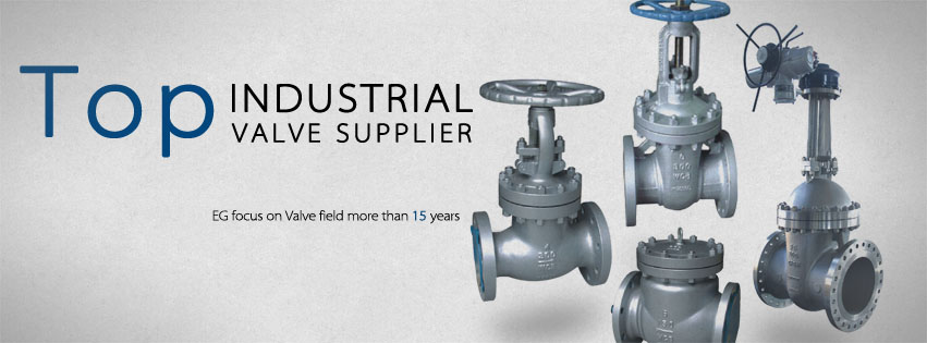 EG Valves