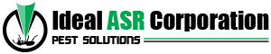 Best Pest Control Services in Indore – Professional Service &hellip;