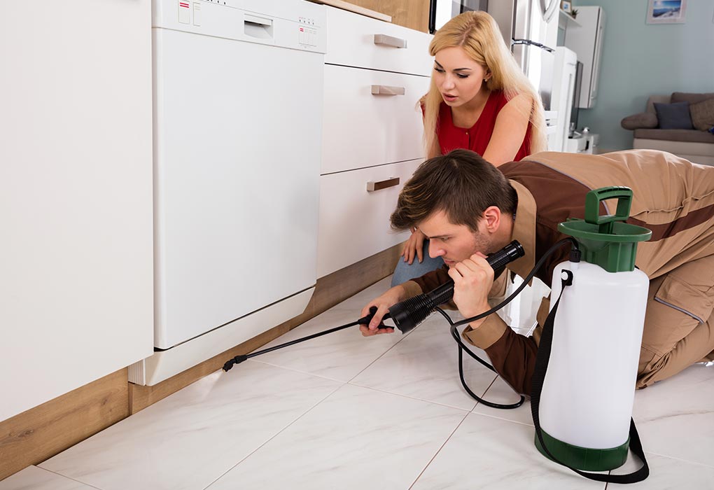 Quality Affordable Pest Control GTA