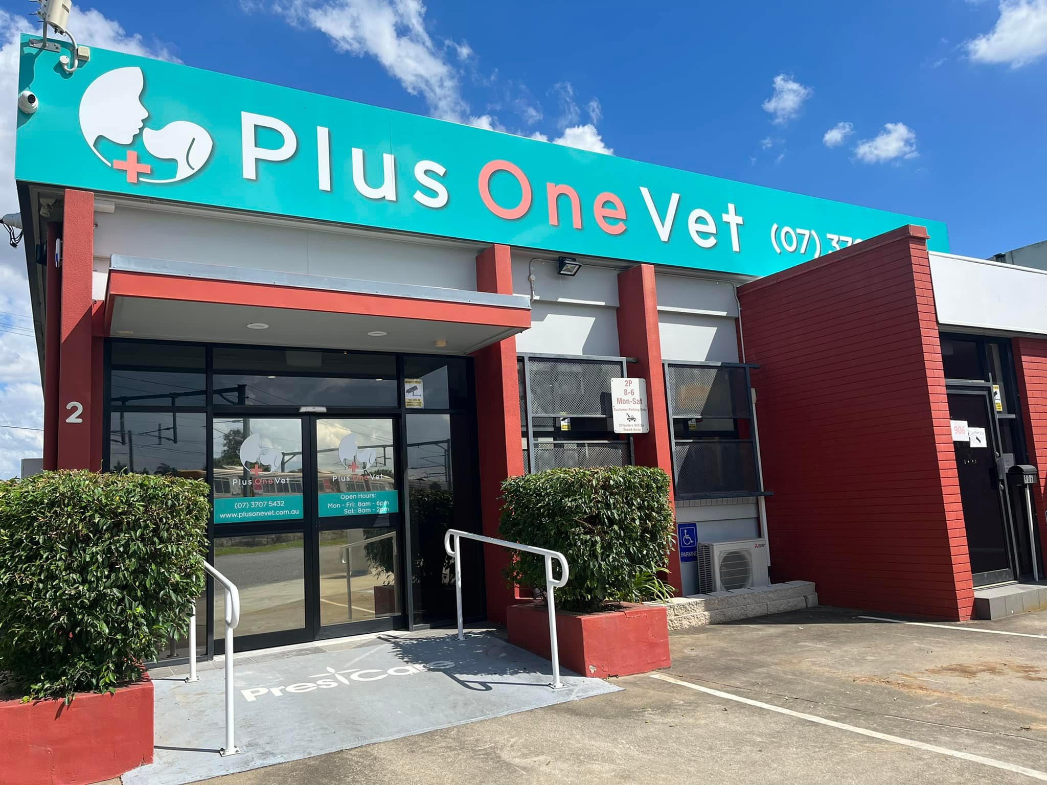 Plus One Vet
