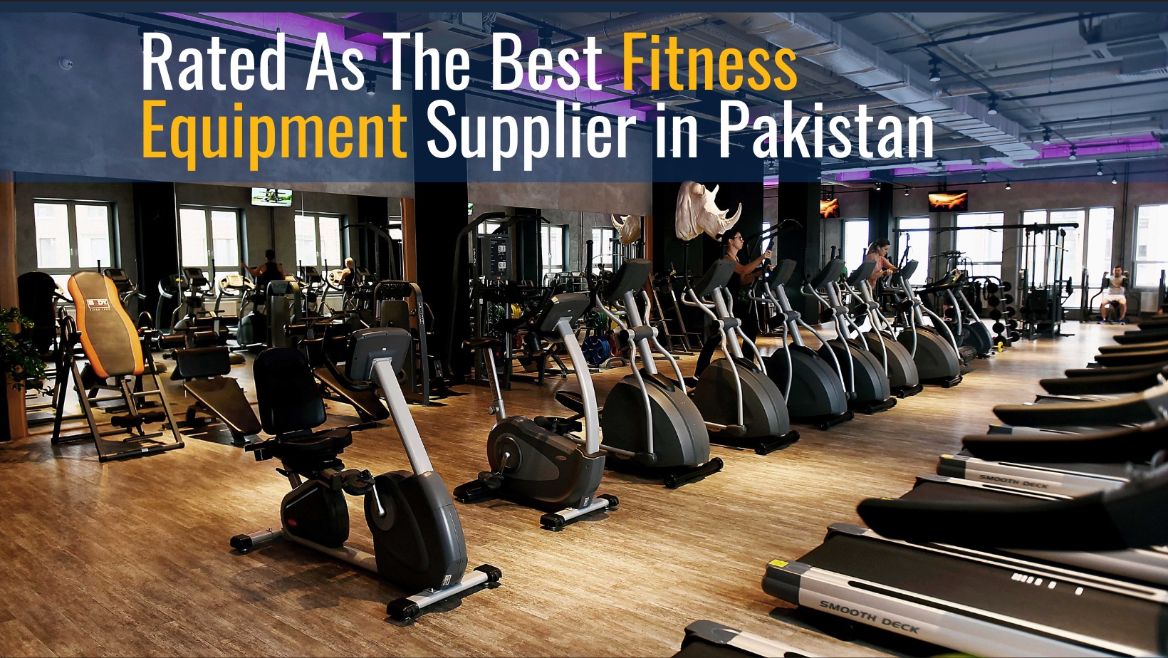 SG Fitness Equipment