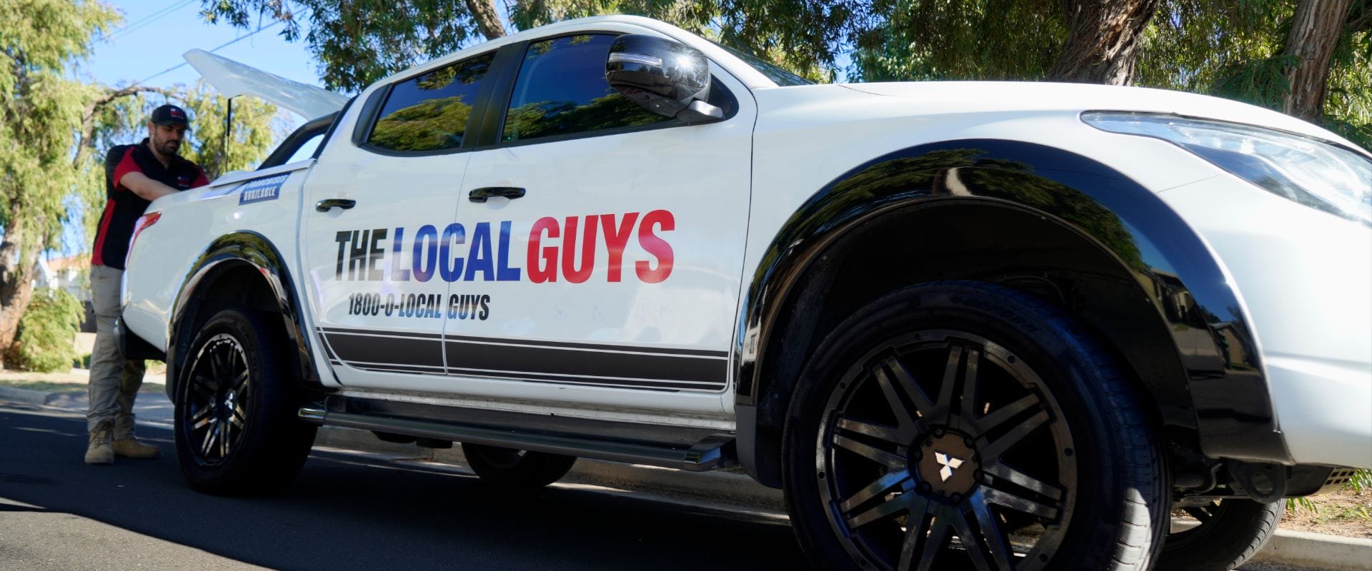 The Local Guys – Pest Control