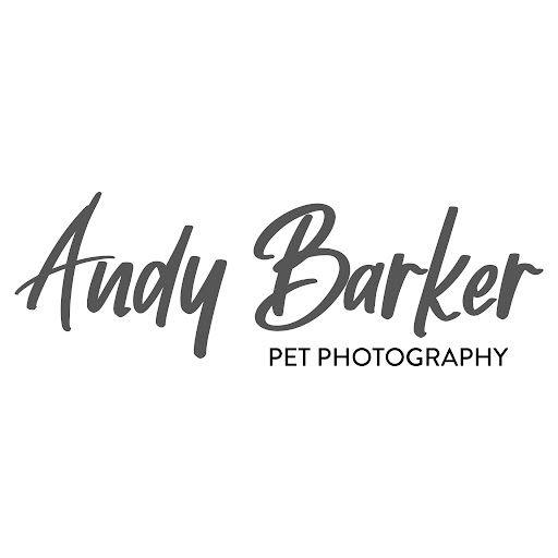 Wellington Pet Photography