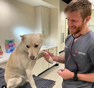 Sploot Veterinary Care – RiNo