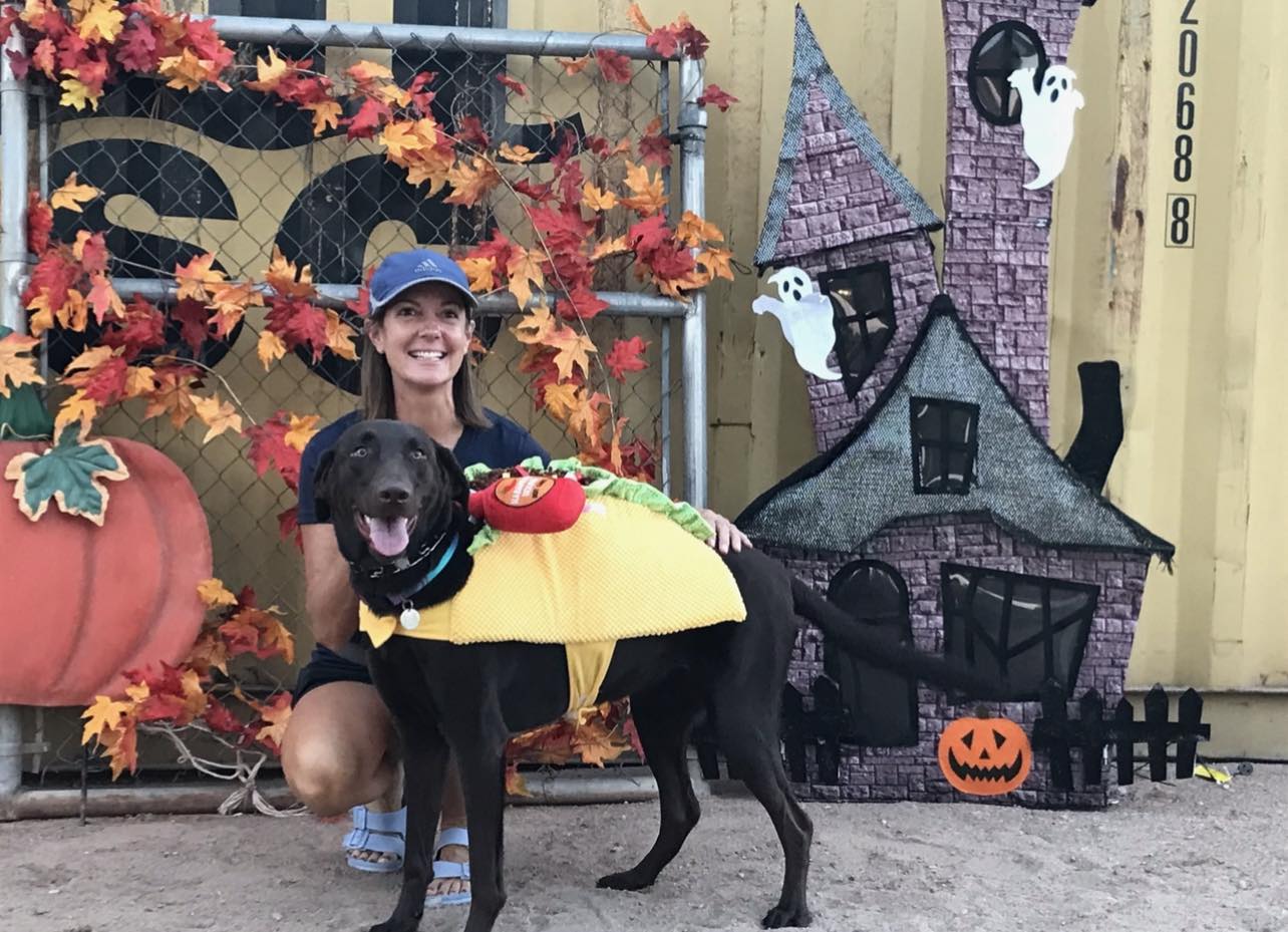 East Valley K9 Services