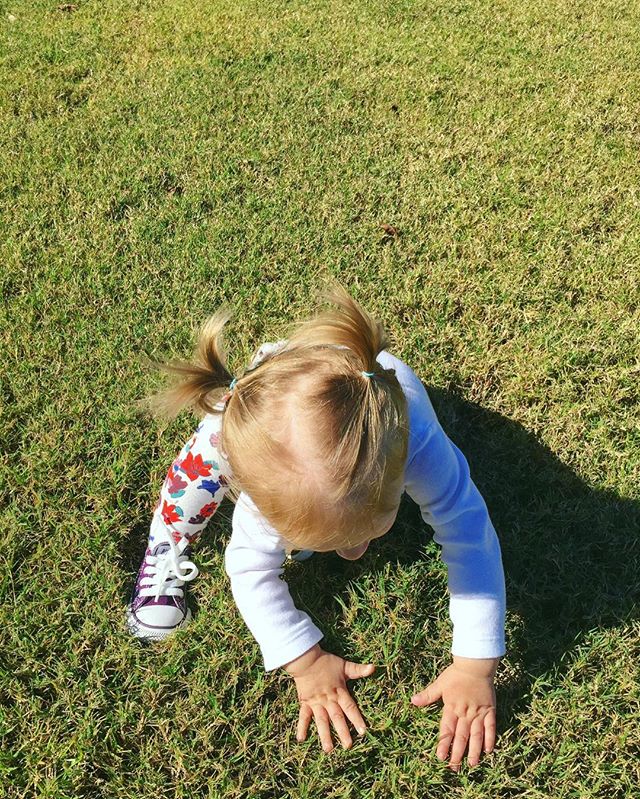 BeautyLawn Spray, Inc.
