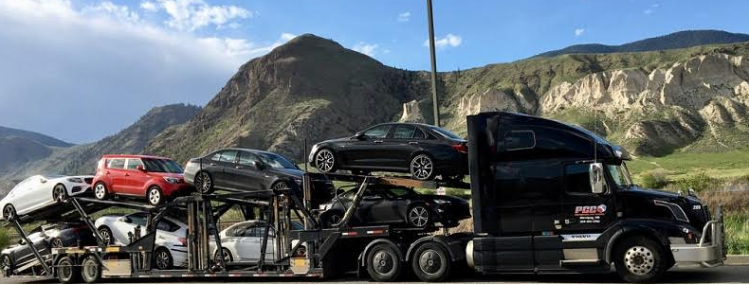 Auto Shipping Group
