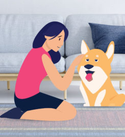 BetterVet South Florida, Mobile Vet Care