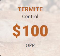 Arizona Pest Control