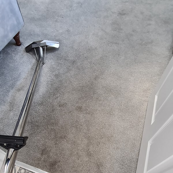 Completely Clean