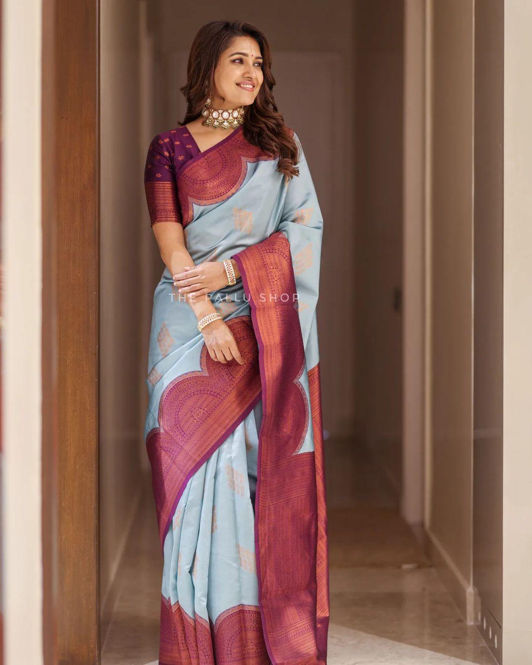 Vani Bhojan’s regal look in a pastel blue silk saree