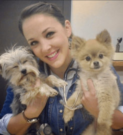 BetterVet South Florida, Mobile Vet Care