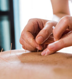 Vellore Chiropractic & Wellness Centre