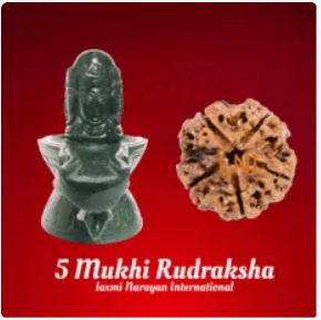 Buy 5 mukhi rudraksha