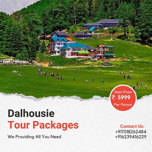 My Roots Travels – The Best Travel Agency In Shimla