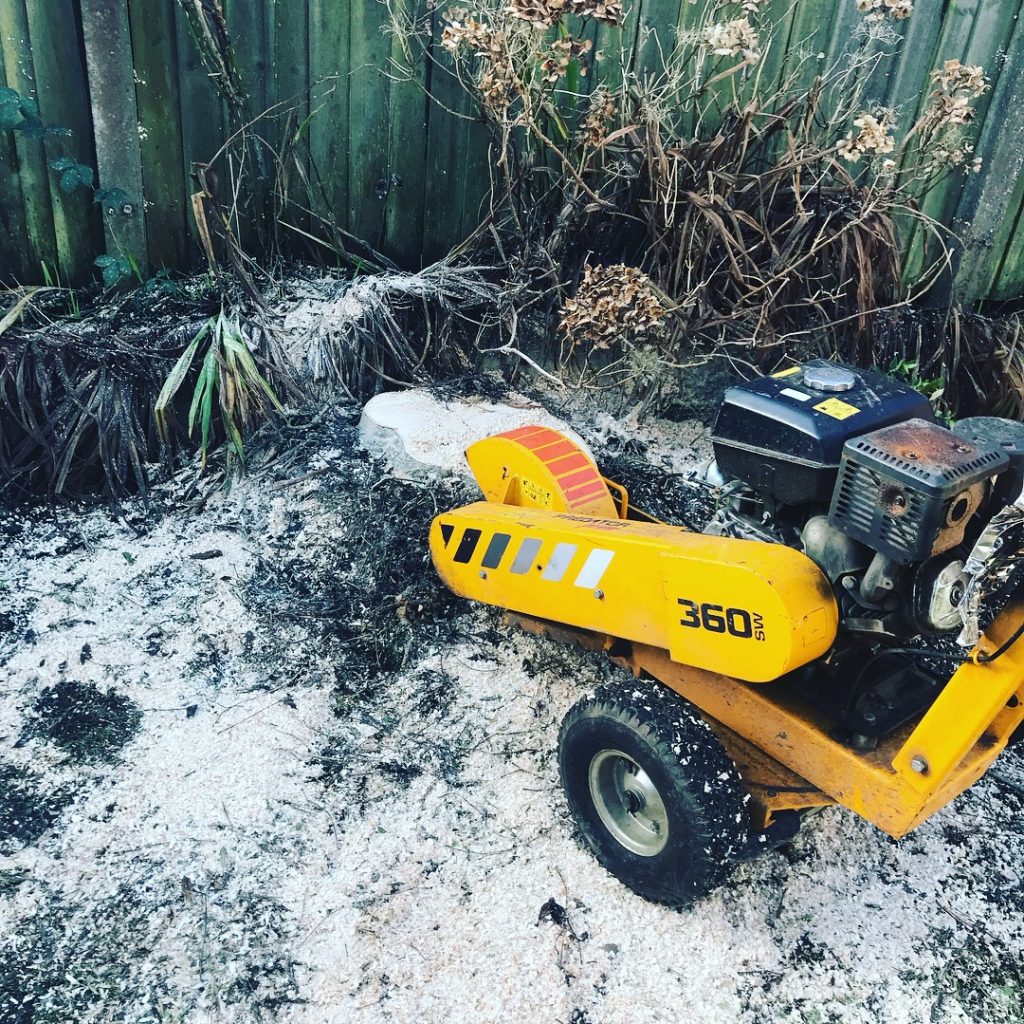 Cardiff Tree Surgery