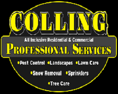 Colling Professional Services